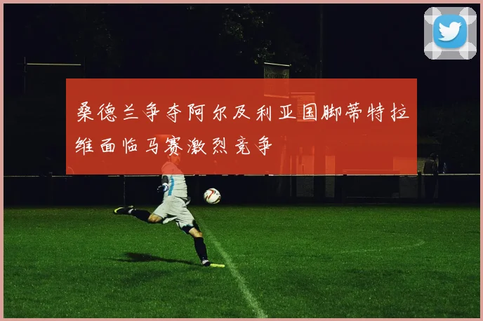桑德兰争夺阿尔及利亚国脚蒂特拉维面临马赛激烈竞争